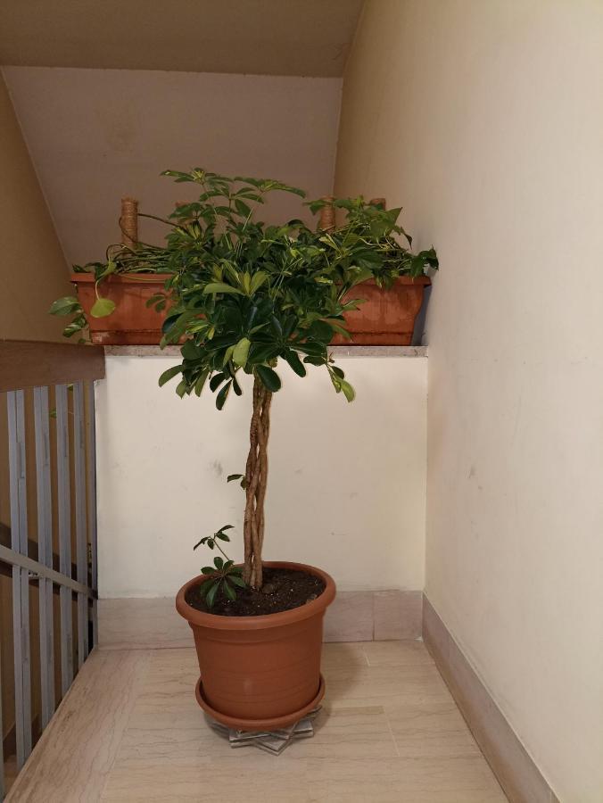 A&C Talenti Diamond Apartamento Roma Exterior foto